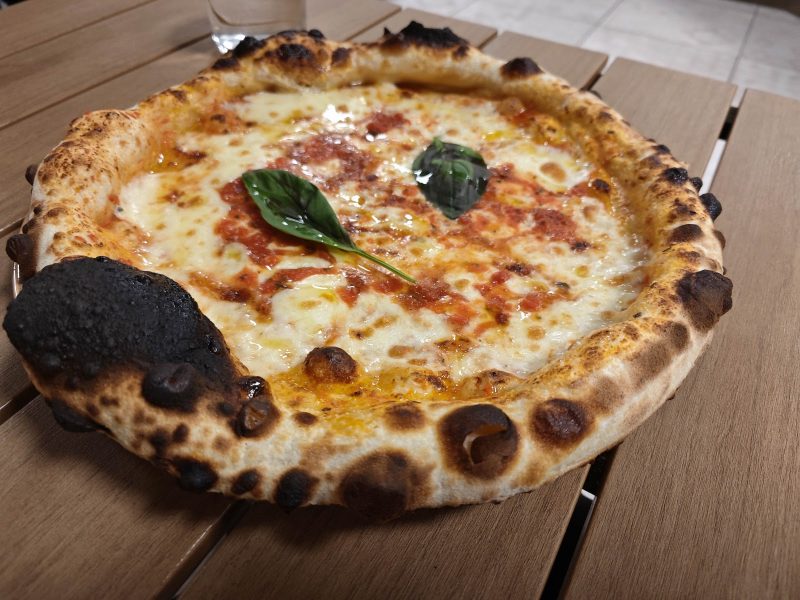 Bacceria