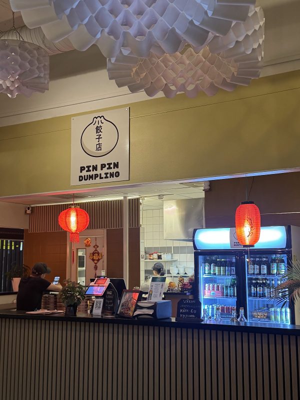 Pin Pin Dumplings