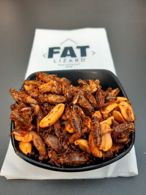 Fat Lizard Otaniemi