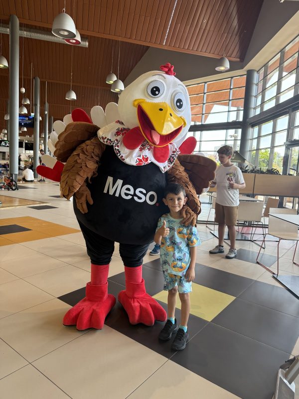 Meso Cafe