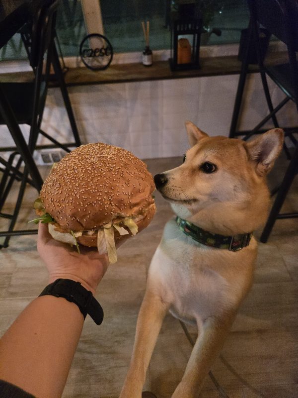 Burgermnia Brunch & Lunch