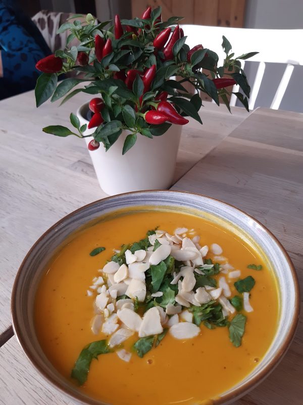Zupa Dnia