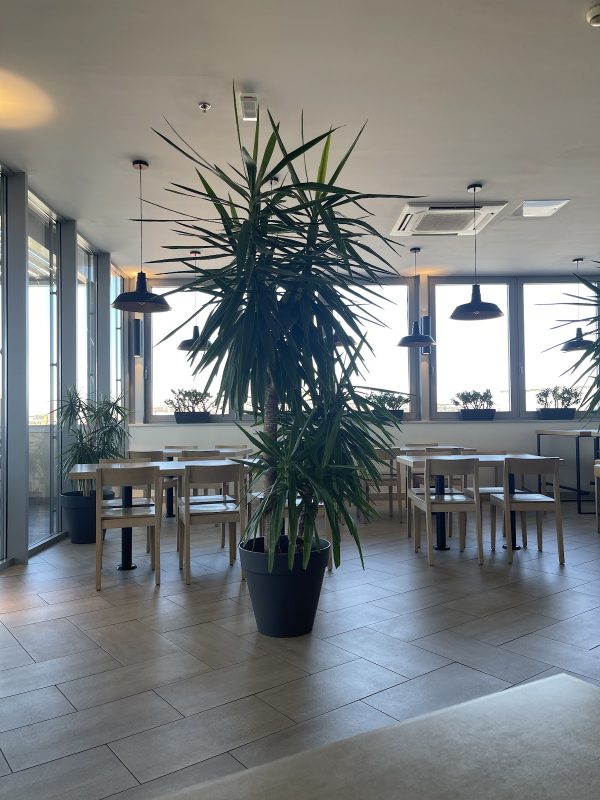 Restavracija Interspar Koper